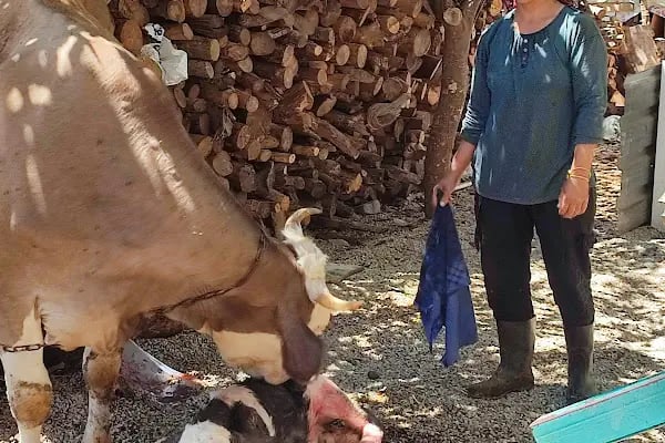 ANAMUR KAMERA&amp; GÜVENLİK SİSTEMLERİ&amp;BİLGİSAYAR TAMİRİ VE SATIŞ - Resim 4