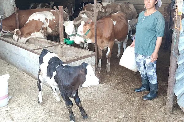 ANAMUR KAMERA&amp; GÜVENLİK SİSTEMLERİ&amp;BİLGİSAYAR TAMİRİ VE SATIŞ - Resim 13