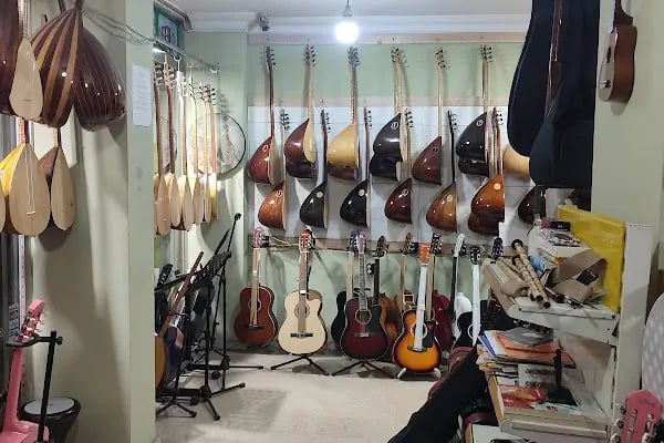 Serhat Müzik Evi-Müzik Aletleri-saz-bağlama-Gitar-Keman-piyano- bağcılar istabul - Resim 17