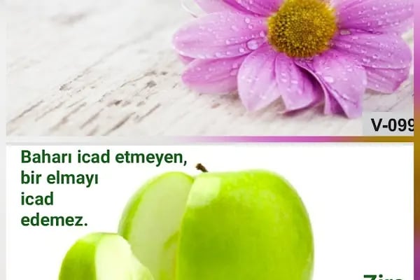 Karesi vakfı Gündüzalp Apt. - Resim 6