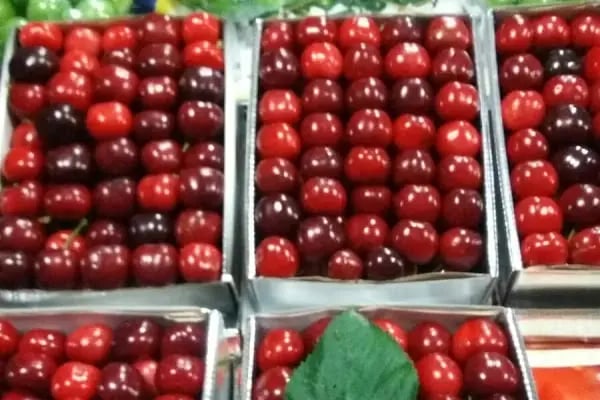 ÖZGÜR __ TiCARET (Sebze) (Meyve) Toptan Perekende Satış - Resim 18