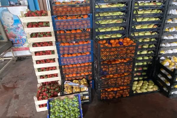ÖZGÜR __ TiCARET (Sebze) (Meyve) Toptan Perekende Satış - Resim 13