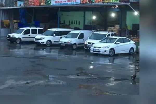 ÖZGÜR __ TiCARET (Sebze) (Meyve) Toptan Perekende Satış - Resim 19