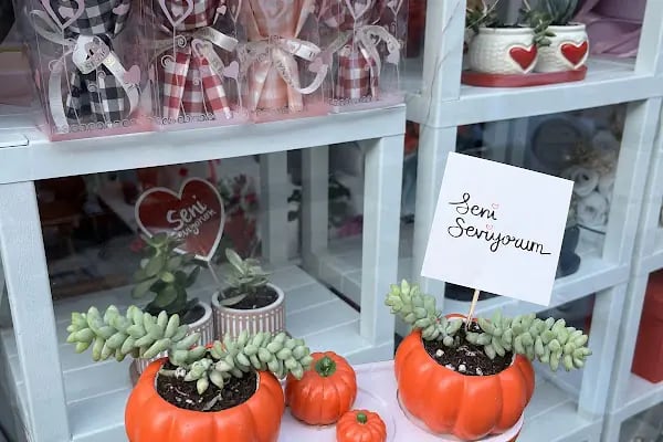 Efram Çiçekçilik Sındırgı - Resim 4