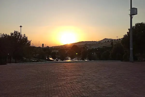 Aşık Veysel Rekreasyon Alanı - Resim 14