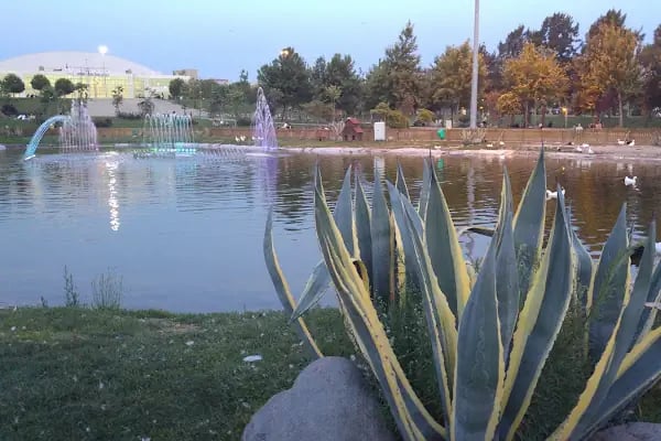 Aşık Veysel Rekreasyon Alanı - Resim 4