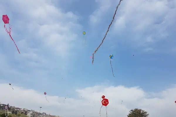 Aşık Veysel Rekreasyon Alanı - Resim 17