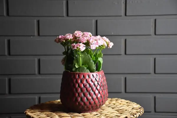 NATUREL ÇİÇEK TASARIM VE ORGANİZASYON - Resim 15