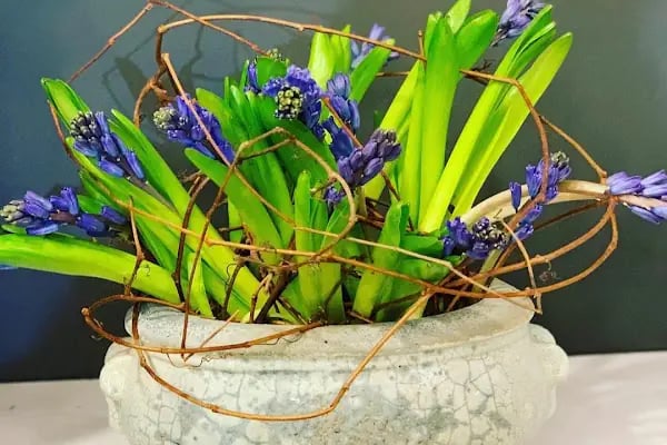NATUREL ÇİÇEK TASARIM VE ORGANİZASYON - Resim 20