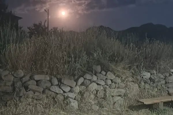 Akçadağ Atatürk Anıtı - Resim 1
