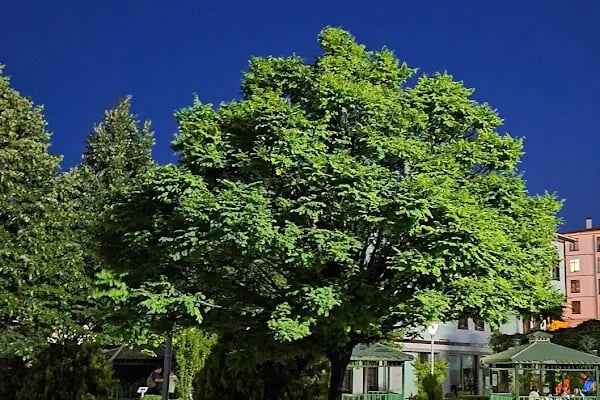 Akyurt Belediyesi Kültür Merkezi - Resim 13