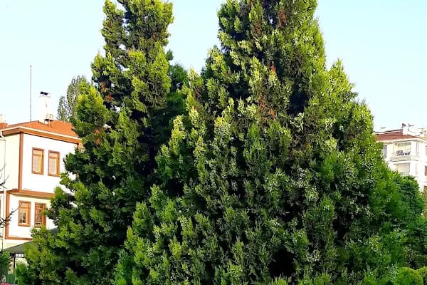 Akyurt Belediyesi Kültür Merkezi - Resim 11