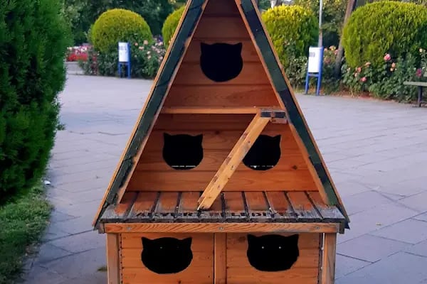 Akyurt Belediyesi Kültür Merkezi - Resim 19