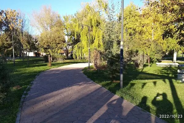Atatürk Üniversitesi - Resim 12