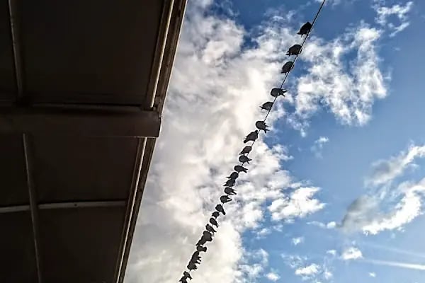 Üçkuyular Tramvay Durağı - Resim 16