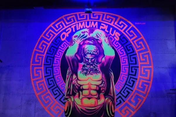 Optimum plus fitness club - Resim 10