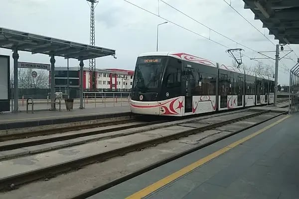 Diş Hekimliği Fakültesi - Resim 20