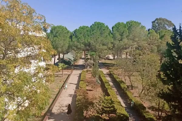 Çukurova Üniversitesi Fen-Edebiyat Fakültesi - Resim 10