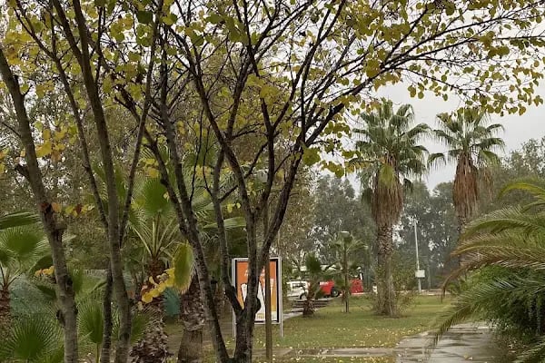 Çukurova Üniversitesi Fen-Edebiyat Fakültesi - Resim 20