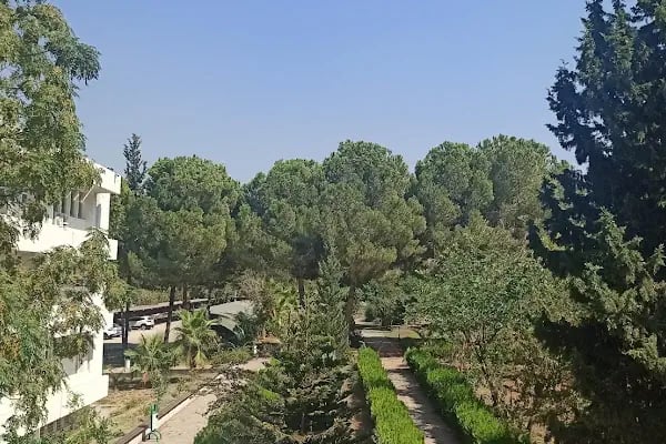 Çukurova Üniversitesi Fen-Edebiyat Fakültesi - Resim 8