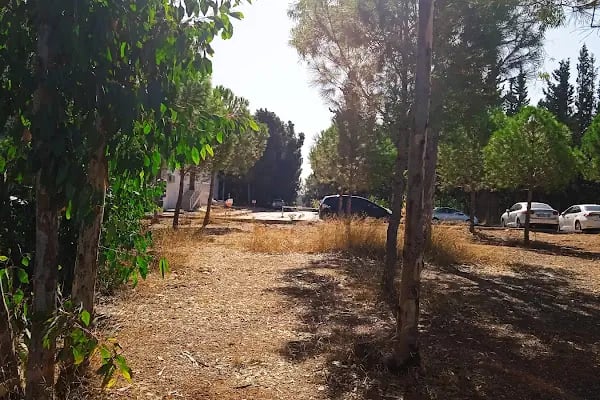 Çukurova Üniversitesi Fen-Edebiyat Fakültesi - Resim 12