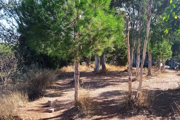 Çukurova Üniversitesi Fen-Edebiyat Fakültesi - Resim 4