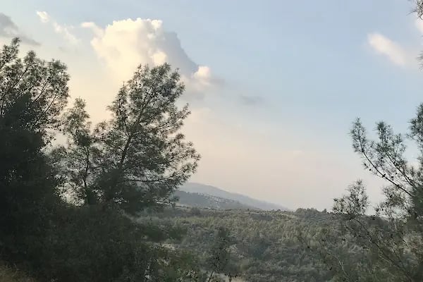 Çukurova Üniversitesi Fen-Edebiyat Fakültesi - Resim 15