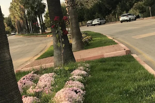 Çukurova Üniversitesi Fen-Edebiyat Fakültesi - Resim 14
