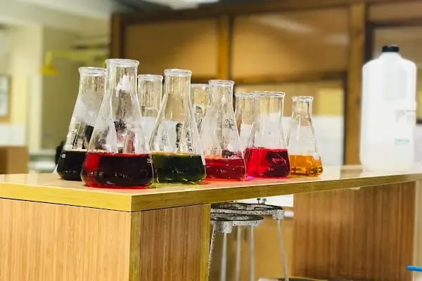 Çukurova Üniversitesi Fen-Edebiyat Fakültesi - Resim 19