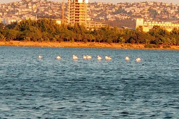 Oyun Parkı - Resim 9