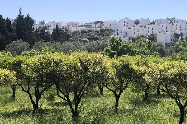 Akyarlar Bodrum Minibüs Durağı - Resim 12