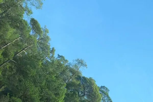 Dalaman Havaalanı Transfer Marmaris Fethiye - Resim 10