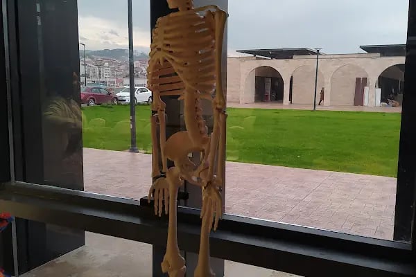 Özdemir Bayraktar Bilim Merkezi Trabzon - Resim 20
