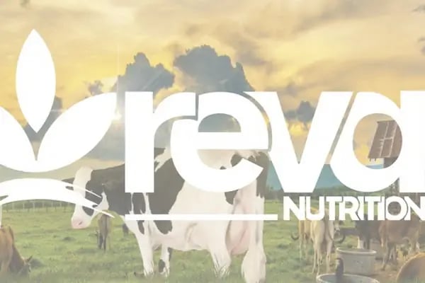 Reva Nutrition - Resim 2