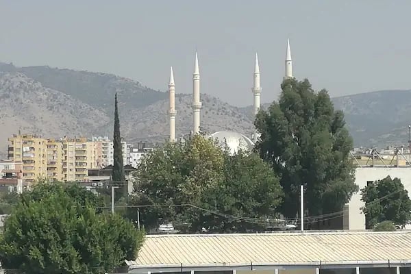Kozan Olimpik Yüzme Havuzu - Resim 5