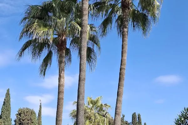 Mağarsus tatil sitesi - Resim 16
