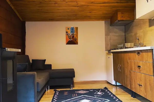 Küre Dağ Evi - Resim 3