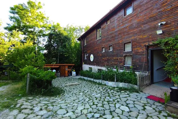 Küre Dağ Evi - Resim 5