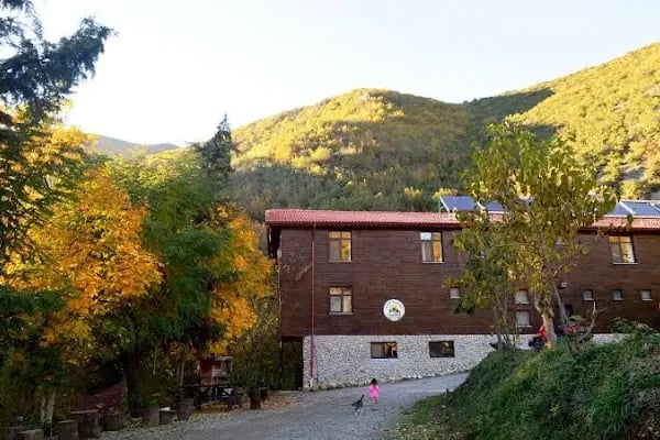 Küre Dağ Evi - Resim 10