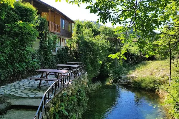 Küre Dağ Evi - Resim 7