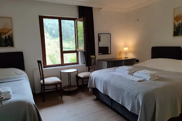 Küre Dağ Evi - Resim 2