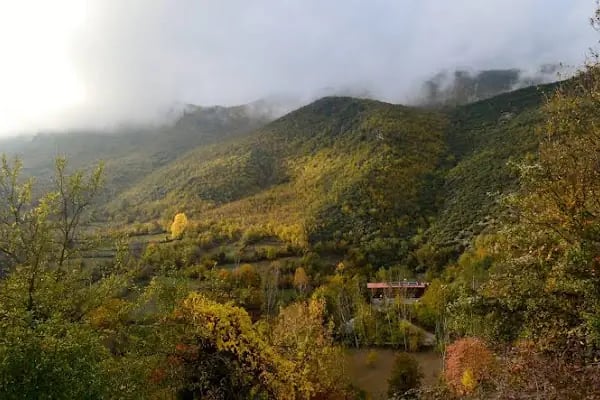 Küre Dağ Evi - Resim 15