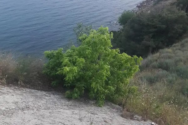 Kadir Has Parkı - Resim 18
