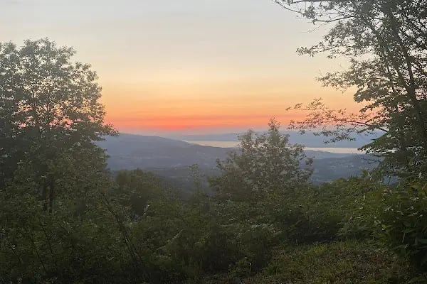 Akademi Servetiye - Resim 17