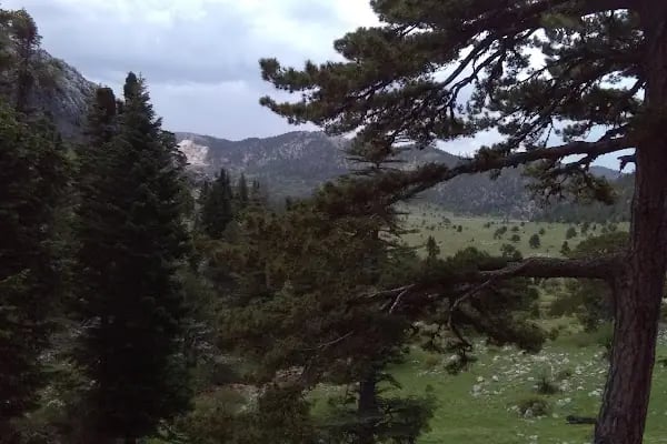 Bademli Belediyesi Şakiroğlu Çeşmesi - Resim 13