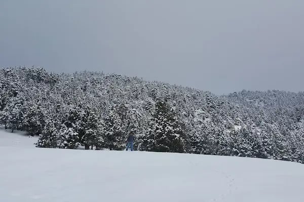 Bademli Belediyesi Şakiroğlu Çeşmesi - Resim 11
