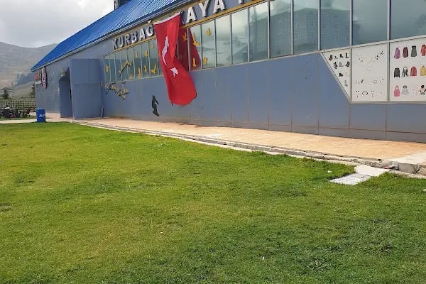 Kurbağa Kaya Teleferik İstasyonu - Resim 2