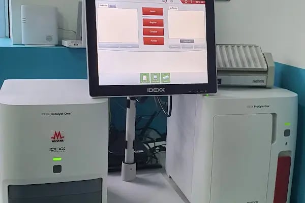 Bi Veteriner Kliniği - Resim 3