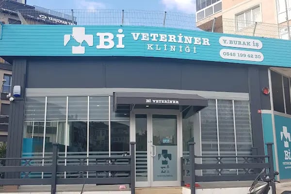 Bi Veteriner Kliniği - Resim 15