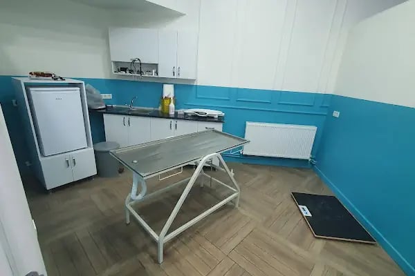 Bi Veteriner Kliniği - Resim 16